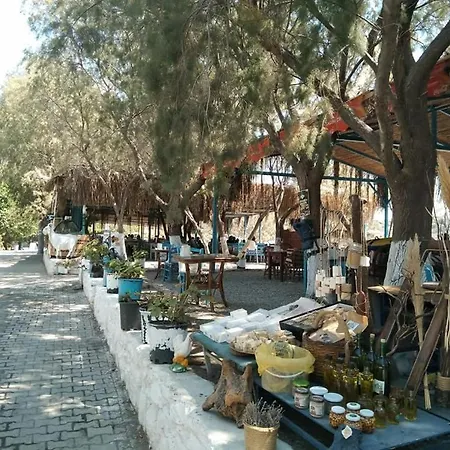 Payam Cicegi Tatil Evleri