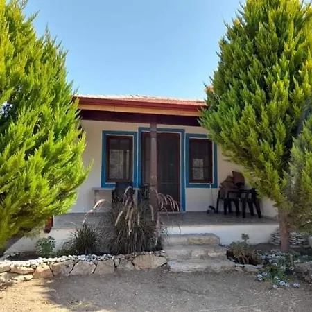 Payam Cicegi Tatil Evleri Holiday home Datca