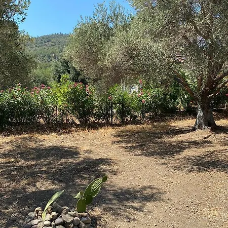 Payam Cicegi Tatil Evleri * Datca