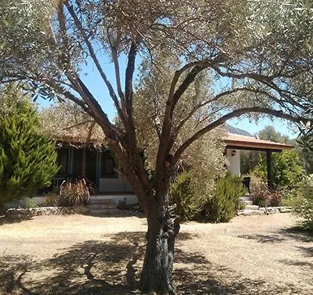 Holiday home Payam Cicegi Tatil Evleri *
