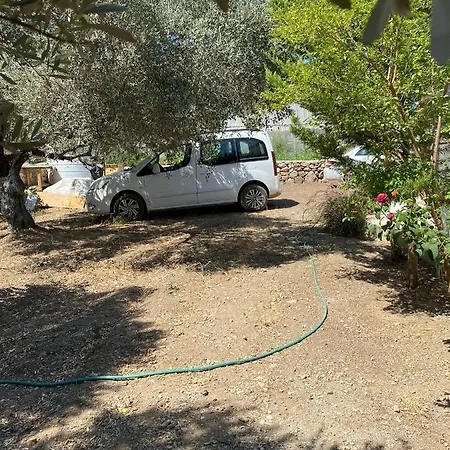 Payam çiçeği Tatil Evleri Datça