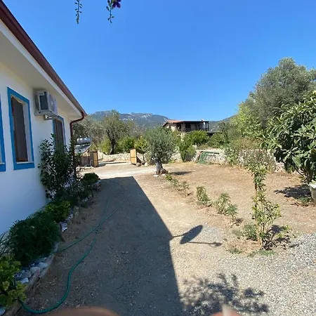 Payam çiçeği Tatil Evleri *