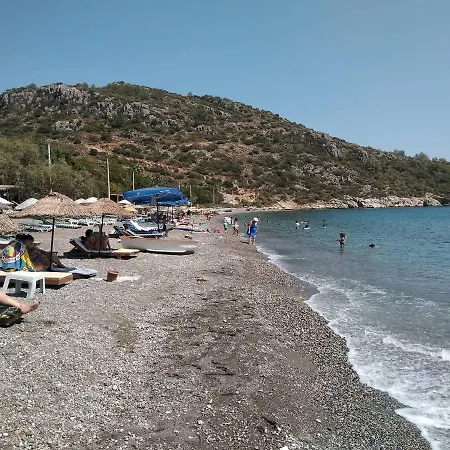 Payam çiçeği Tatil Evleri * Datça